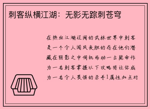 刺客纵横江湖：无影无踪刺苍穹